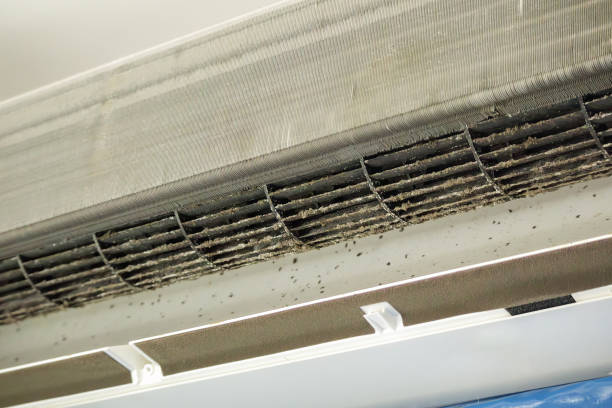 Best Commercial Air Duct Cleaning  in Olton, TX
