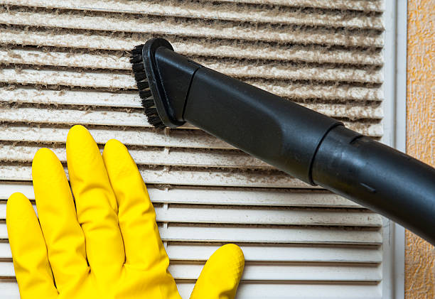 Best Professional Duct Cleaning Services  in Olton, TX
